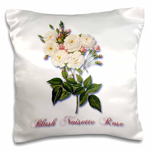 3dRose LLC. Blush Noisette Barely Pink Rose Botanical Print-Pillow Case, (pc_173815_1), Satin, White, 16 x 16 inch