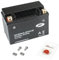 Gel-Batterie für Yamaha XJ 600 S Diversion, 1998-2003 (Typ RJ01),8 AH, wartungsfrei, inkl. Pfand €7,50