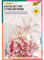 folia 12520 - Bastelset für 5 Perlensterne, rot / gold / perlweiß - ideal als selbstgemachte Dekoration für Weihnachten, Mittel