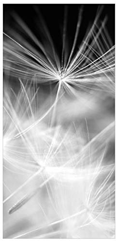 Bilderwelten Raumteiler Pusteblume auf schwarzem Hintergrund 250x120cm + transp. Halterung