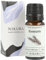Nikura Rosemary Essential Oil - 10ml | Rosemary Oil for Hair Growth, Beard, Candles | Use in Aromatherapy Diffuser | Vegan, 100% Pure