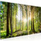 Runa Art Wandbild XXL Wald Landschaft Schlafzimmer Wohnzimmer 200 x 80 cm Grün 5 Teilig - Made in Germany - 503855b