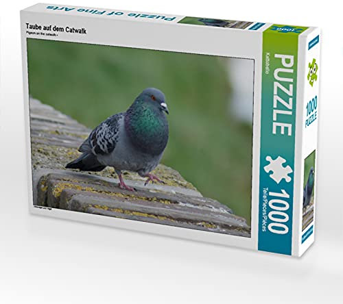 CALVENDO Puzzle Taube auf dem Catwalk 1000 Teile Puzzle quer | Lege-Größe cm Foto-Puzzle für glückliche Stunden