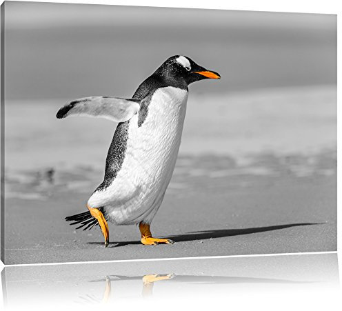 Pixxprint watschelnder Pinguin am Strand B&W, Größe: 80x60cm, Leinwandbild, fertig gespannt, Wandbild, Dekoration, Kunstdruck, kein Poster
