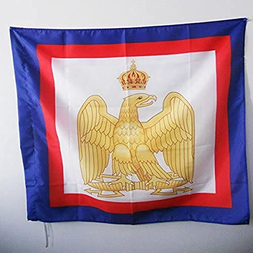AZ FLAG - Drapeau Napoléon 1er - 90x90 cm - Drapeau Armes Napoléon Bonaparte 100% Polyester Avec Fourreau et Cordelette - Pavillon 80 g