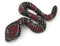 Broche serpent cristal Swarovski noir/rouge en finition métal vert-de-gris