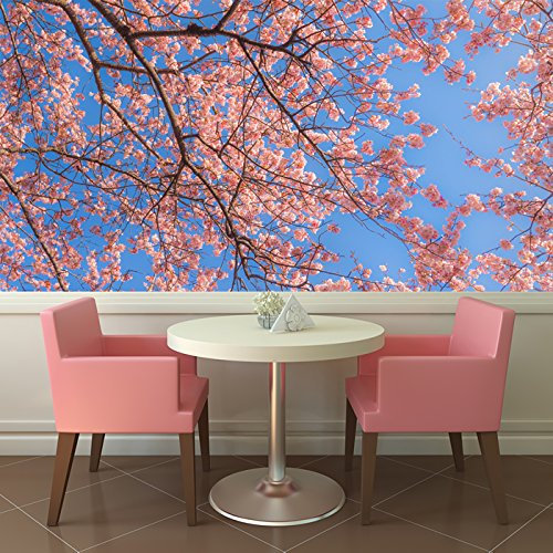 azutura Pink Cherry Blossom & Blue Sky Wall Mural Wallpaper available in 8 Sizes Digital