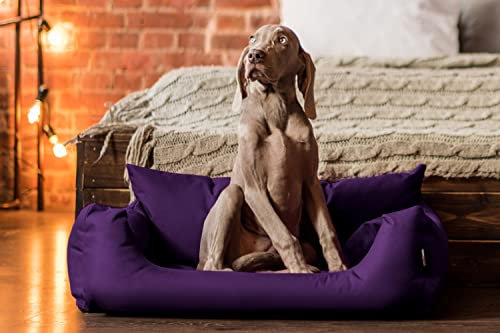 tierlando NEMO Hundebett Hundesofa Hundekorb Katzenbett Größe: N1 | Farbe: 09 Lila