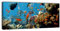 wandmotiv24 Leinwandbild Panorama Nr. 38 Fische im Ozean 100x40cm, Keilrahmenbild, Bild auf Leinwand, Fische, Unterwasser, Riff