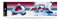NHL Bumper Aufkleber, Logo Color