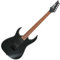 Ibanez RG421EXL-BKF Linkshänder E-Gitarre