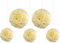 EinsSein Pom Poms 20 Stück Hochzeitsdeko Weiss Creme | Pompons Hochzeit | Deko Taufe, Party, Feier, Kindergeburtstag, Gartenparty, Wedding | Dekoration Zimmer Mädchen Junge