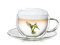 Creano Tazza Termica Hummi, per Tè/Latte Macchiato, a Doppia Parete, con Motivo Colibrì | 250ml in Confezione Regalo Esclusiva, Verde