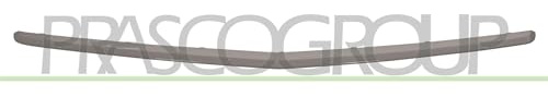 PRASCO Zier-/Schutzleiste, Stoßfänger ME3261245