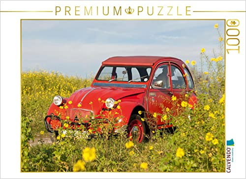 CALVENDO Puzzle Ente im Glebsenf 1000 Teile Puzzle quer | Lege-Größe cm Foto-Puzzle für glückliche Stunden