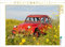 CALVENDO Puzzle Ente im Glebsenf 1000 Teile Puzzle quer | Lege-Größe cm Foto-Puzzle für glückliche Stunden