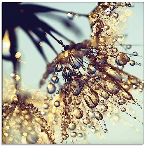 ARTland Wanddeko Glasbilder Wandbild Glas Bild einteilig 50 x 50 cm Quadratisch Innere Ruhe Wellness Pflanzen Blumen Pusteblume Wasser Tau Regen Gold S9RM
