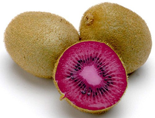 Kiwi Seeds - Pink Lady - Grande Pianta da interni - RARE Frutta tropicale - 50 Semi