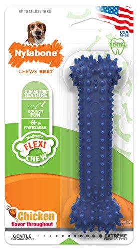 Nylabone Jouet dentaire à mâcher moyen, forme d’os, arôme poulet, pour les petits chiens (jusqu’à 16kg), mâchouilleurs modérés/paisibles, M (jusqu'à 16kg)