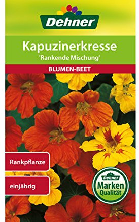 Dehner Blumen-Saatgut, Kapuzinerkresse Rankende Mischung, 5 x 6 g