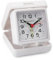 Champion Table Alarm Clock (TR50W)