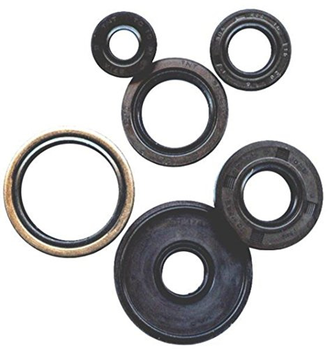 Vertex-Winderosa 822341 Engine Oil Seal Kit