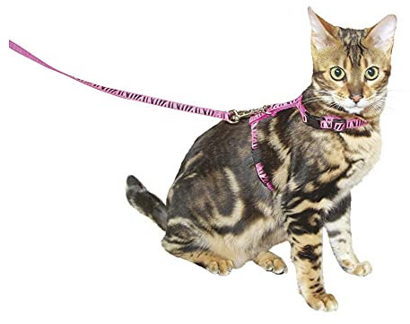 Kerbl Pet 82668 Katzengeschirr mit Leine 120 cm x 10 mm, rosa