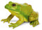 Plastoy - 2687-29 - Figurine - Animal - Grenouille Taureau