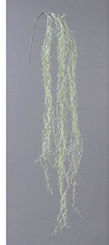 creativ home Künstliche TILLANDSIEN-RANKE ca 146 cm. Tillandsia -Hänger in GRÜN.