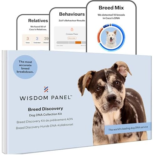 Wisdom Panel Breed Discovery Dog DNA Test Kit - Most Accurate Breed ID | Behaviours | MDR1 | Ancestry | Relatives