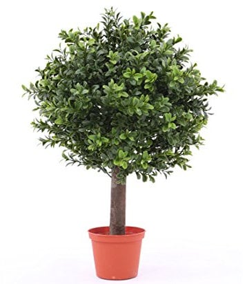 kunstpflanzen-discount.com Kleine künstliche Buchskugel 30cm auf Echtholz Stamm 45cm hoch mit 396 uv-geschützen Blättern in naturgetreuer Farbgebung im Topf