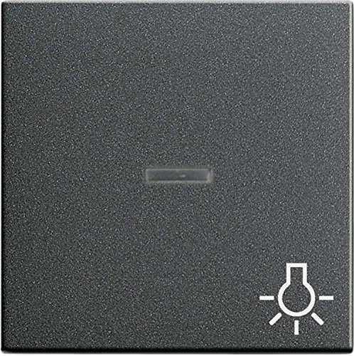Gira Wippe 067428 Kontroll Sym Licht System 55 ant