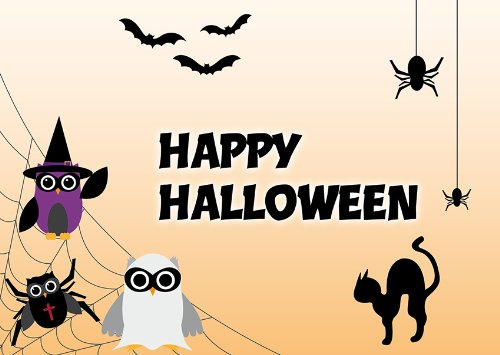 2 Postkarten Spider-Eulen Happy Halloween 1302