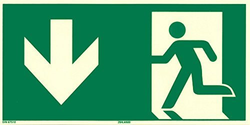 hausundwerkstatt24 Rettungswegschild Durch Notausgang, 297 x 148 mm, Kunststoff, Nachleuchtend + Selbstklebend, Grün, Standardisiertes Sicherheitszeichen