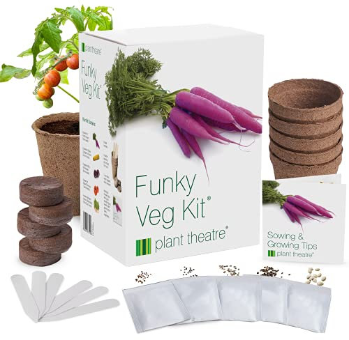 Plant Theatre Vegetable Seeds - Funky Veg Kit con 5 sobres de semillas (zanahoria, calabacín, coles de Bruselas, acelgas y semillas de tomate), macetas, discos de turba y marcadores - Kits de cultivo para interiores y exteriores - Regalos de jardinería para hombres y mujeres