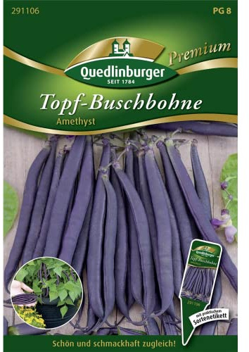 Topf-Buschbohne, Amethyst NEU