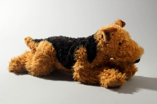 Airedale Terrier