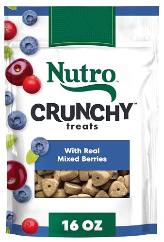Nutro Crunchy Dog Treats with Real Mixed Berries, Training Treats for Dogs, 16 oz. Bag