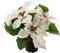 Artificielles.com - Künstlicher Weihnachtsstern im Topf, Höhe 26 cm, sehr dicht, 5 Blüten, cremefarben