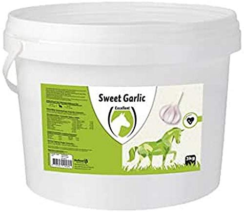 Utmärkta söta vitlöksklossar - 3 kg