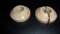 x2 Oak Un-Finshed Pipe Covers/ Rad Rings/ Pipe Rose/ Collar- 22mm