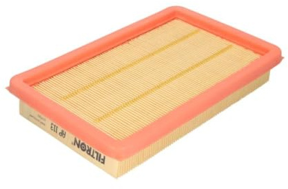 Filtron Air Filter AP113