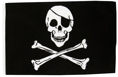 Digni® Drapeau Pirate 30 x 45 cm