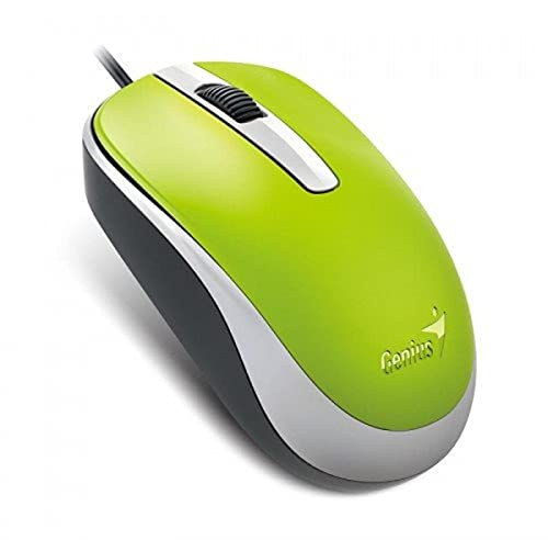 GENIUS RATONÃ‚ DX-120 USB Optico Verde