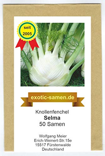 Knollenfenchel, Gemüsefenchel - Selma - 50 Samen