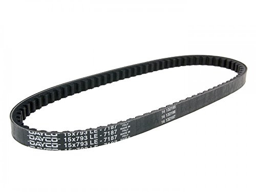 Dayco 7187 Keilriemen, L793 X B15.0