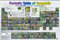 GB eye GN0815 Maxi-Poster mit Cannabismotiv 61 x 91,5 cm