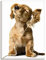 ARTLAND Wanddeko Leinwand Bilder Wandbild 45x60 cm Hund Tiere Musik Dackel Welpen Lustig Kunst Surreal Modern Kunst T5QE