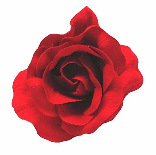 Deep Red Large Burlesque Carmen Flower Rose Flamenco Dancer Pin up Hair Clip Slide by DangerousFX