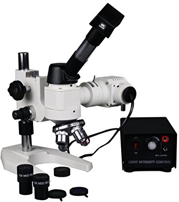 Radical 40-600X Ferrous & Non Metal Testing Lab Compact Metallurgical Reflected Light Microscope With Usb Camera
